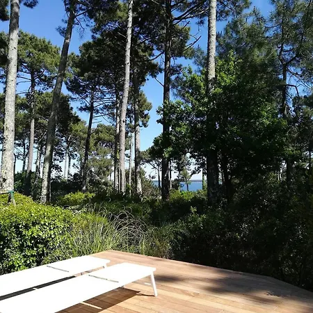 Vue Avec Piscine - 12 Pers. - Fr-1-877-58 Biscarrosse